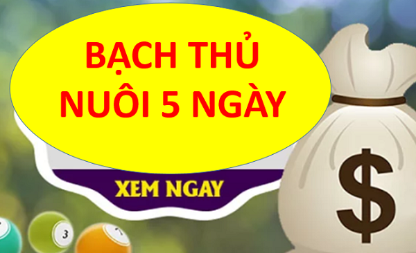 Bí quyết nuôi lô khung 5 ngày cho người mới